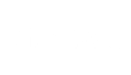 BizzPro